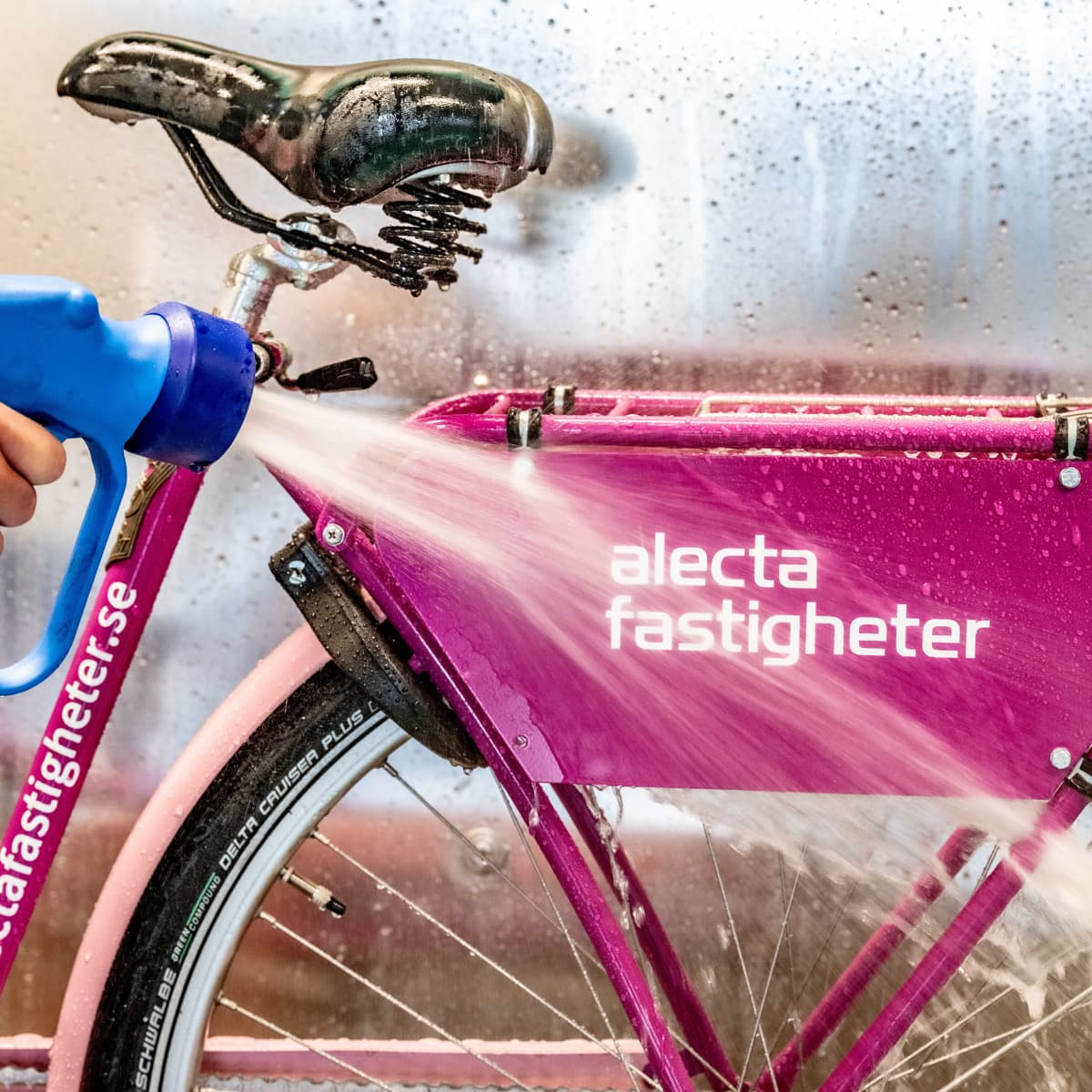 En person sprutar vatten på en rosa cykel.
